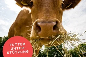 Neuheiten für Hof, Stall & Tier 🌾