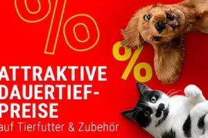 👍 Futter- & Zubehör-Angebote zum kleinen Preis!