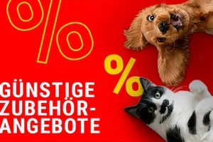 ⭐️ Tolle Zubehörangebote für Haustiere - jetzt sparen! 🐾🐾