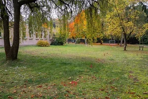 Vom leeren Rasen zur Spieloase: So gelingt Ihr Spielplatz-Projekt 🌳