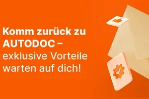  Lass dir die Vorteile von AUTODOC nicht entgehen! ✅ 