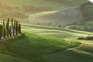 Chianti Classico 🍷 Die Gran Selezione für nur 18.95 Fr.