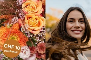 🍁 Herbstliche Farben zum Vorteilspreis bestellen