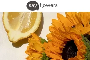 Sonnenblumen mit CHF 10 Rabatt bestellen 🌻
