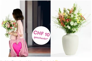 CHF 10 Rabatt mit dem Code M-DANA-A10