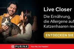 Pro Plan® LiveClear®: Revolutionäres Katzenfutter, das Allergene auf Katzenhaaren reduziert 😻