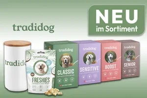 Warum hat mein Hund ständig tränende Augen? 🐶😢