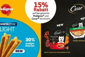 Aktionen und Neuheiten im November 🍁