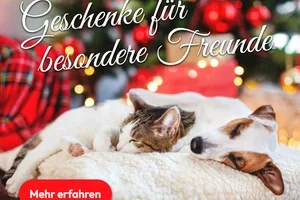 Geschenke für besondere Freunde 💝