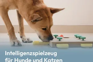 Intelligenzspielzeug für Hunde und Katzen 🐶🐱