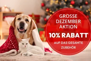 👉 Jetzt noch sparen: Die Aktionen sind gültig bis zum 31. Dezember 2025