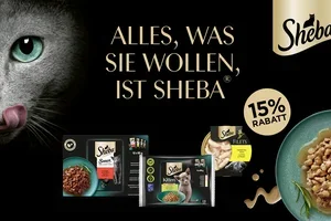 Willkommen im neuen Jahr: Tolle Angebote!