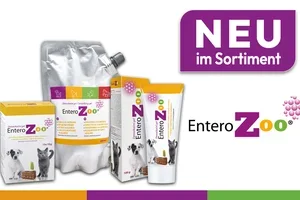 ✨ Neu im Sortiment: Entdecken Sie unsere Marken-Neuheiten 🐶🐱
