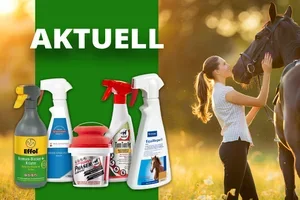 👉 Jetzt noch sparen: Die Aktionen sind gültig bis zum 31. Mai 2026
