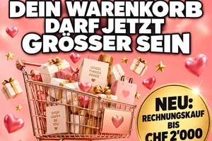 🔓 Dein Warenkorb darf jetzt grösser sein
