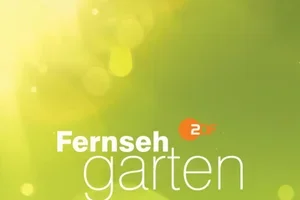 Günstig verreisen? Wir zeigen wie!