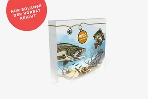 Die Westin & Zeck Adventskalender sind da! 🎄🎁