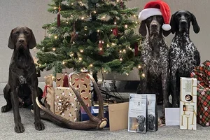 Wir wünschen frohe Festtage 🎄✨