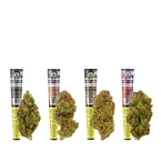 CBD Pre-Rolled Joint Set