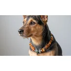 Hunde Bernsteinkette mit Bergkristall und Tigerauge 31cm Länge