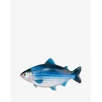 Fish bag