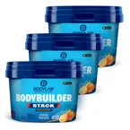 3 x Bodybuilder Stack Powder (je 216g)