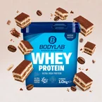 Whey Protein - SALE (1000g)