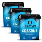 3 x Creatine Monohydrate - 100% Pure Powder (1000g)