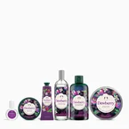 Ultimate Dewberry Collection