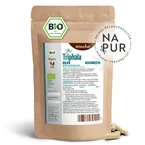 Triphala Kapseln Bio Nachfüllpack (400 Kapseln)