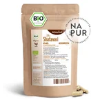 Shatavari Kapseln Bio Nachfüllpack (400 Kapseln)