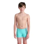 Arena Kikko V Swim Short Graphic
